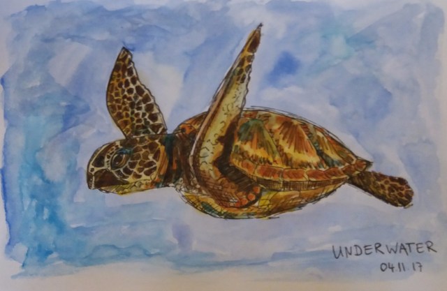 041117 underwater inktober mel