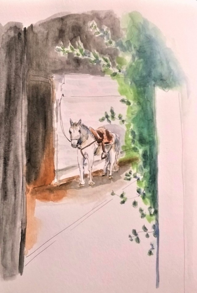 1804 Malinalco white horse 2