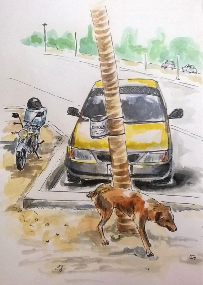 1803 Tulum dog by mel