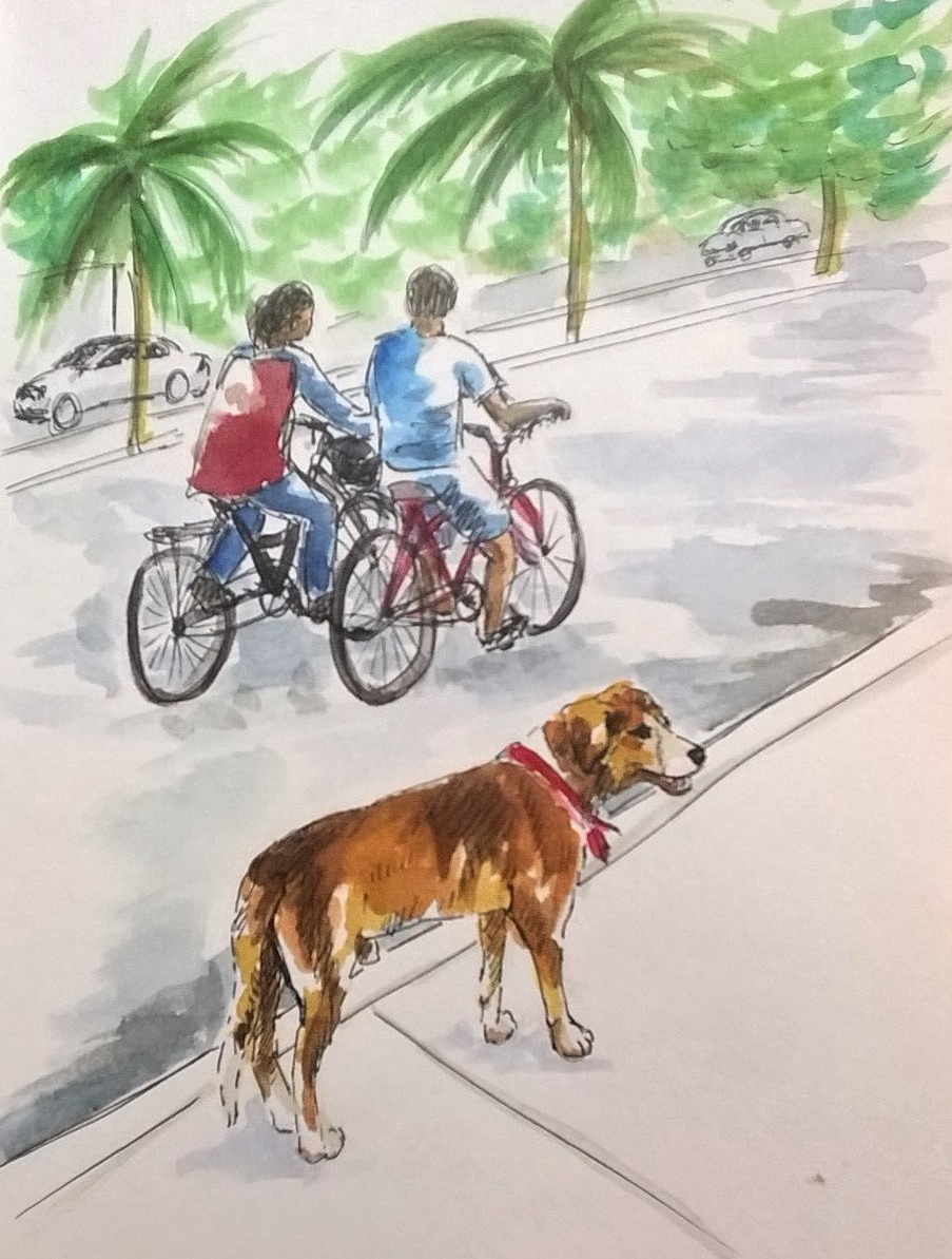 1803 Tulum dog 2 by Mel Franz