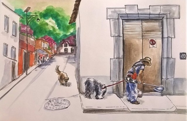 1805 Malinalco bobtail gardener_Melanie Franz