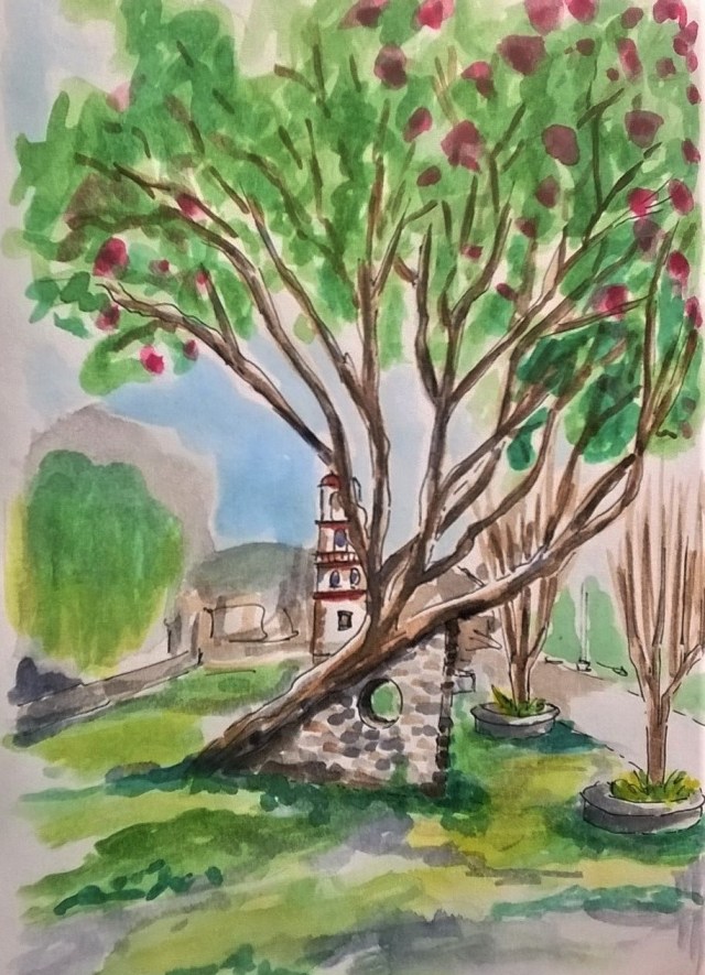 1806 Malinalco tree_Melanie Franz