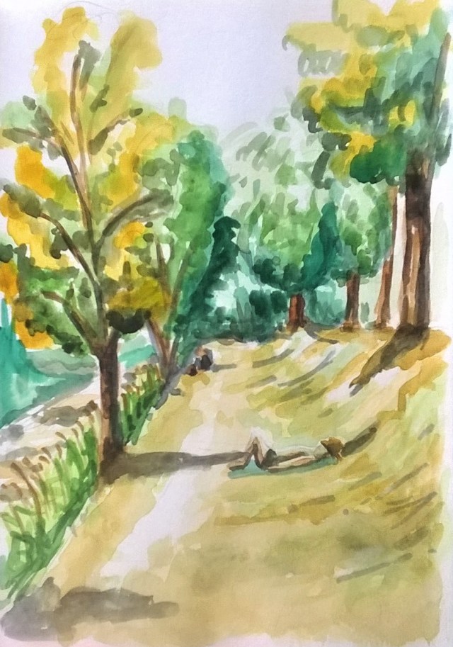 180729 Dreisam Freiburg