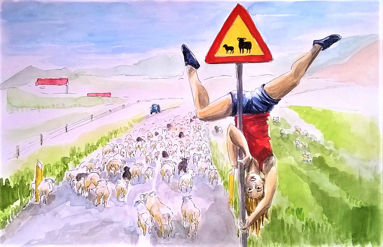 180807 Icelandic farm life Melanie Franz