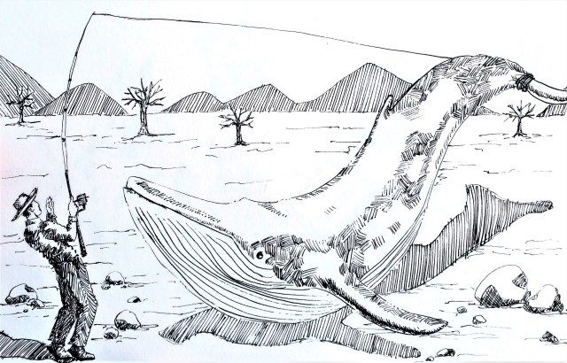 181012 Whale _ Inktober _ Melanie Franz