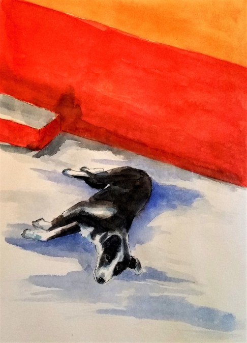 190106 dog malinalco_Melanie Franz