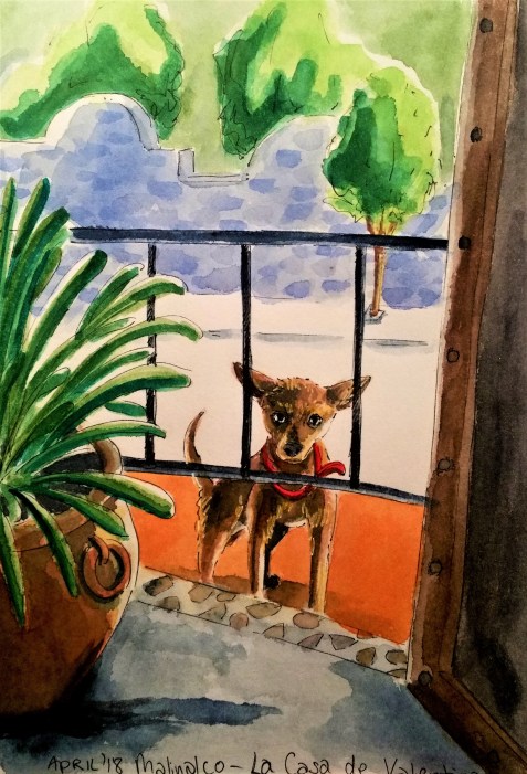 190110 casa de valentina dog_Melanie Franz