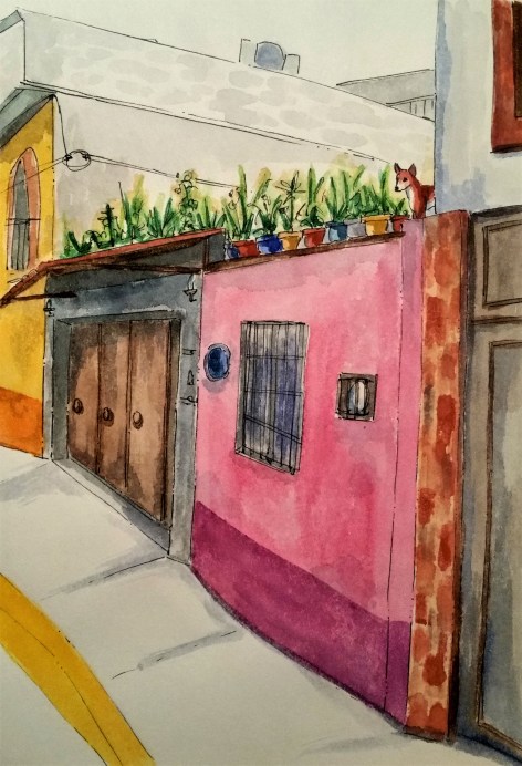 190113 roof dog in malinalco_Melanie Franz