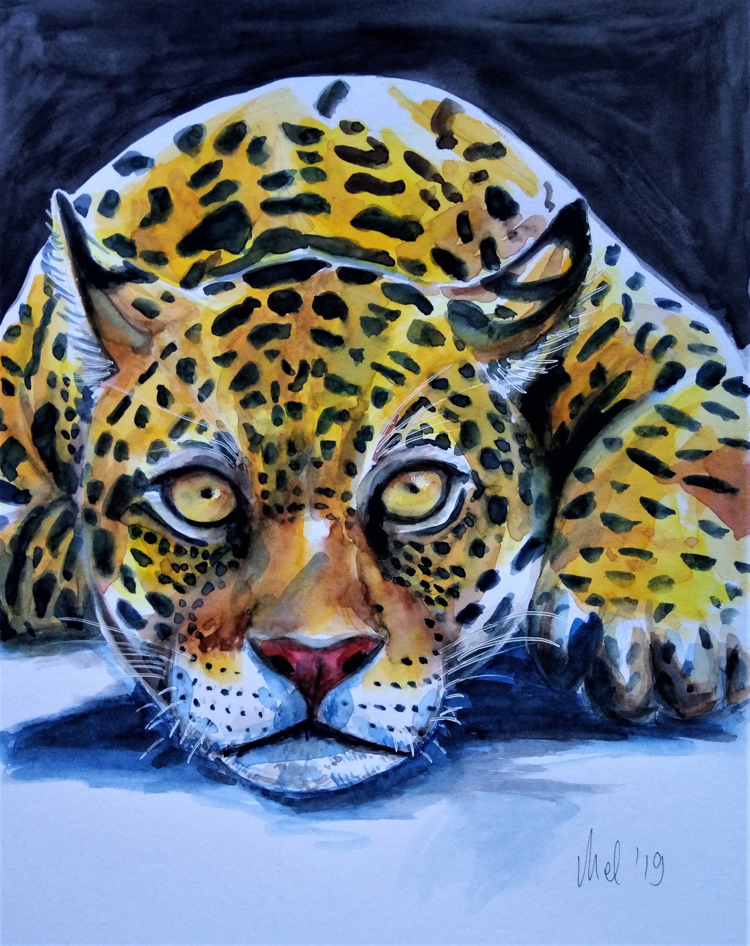 190226 Jaguar 1_Melanie Franz