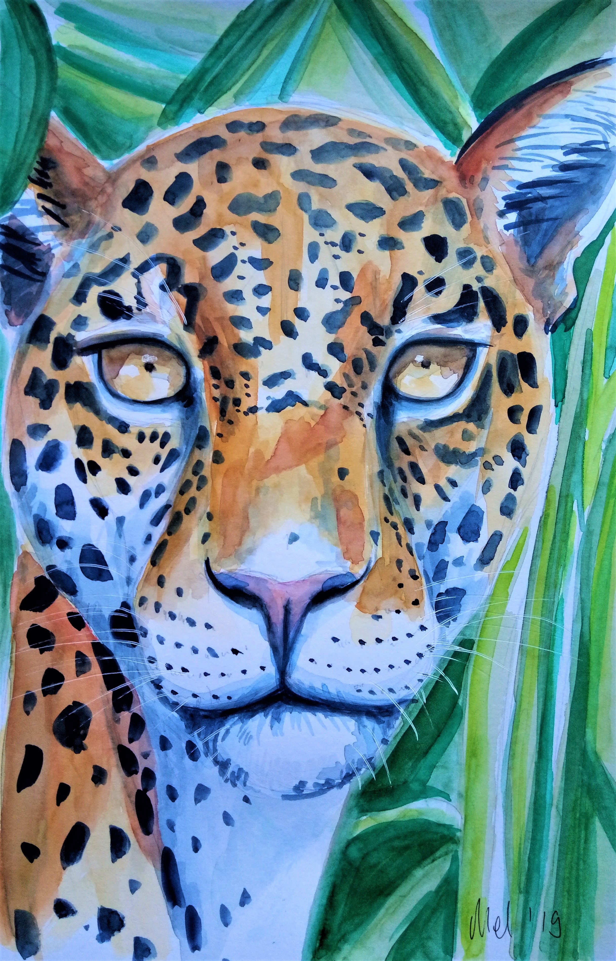 190226 Jaguar 2_Melanie Franz