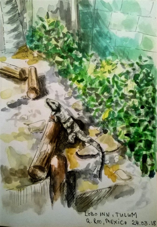 1803 Iguana Tulum_Melanie Franz