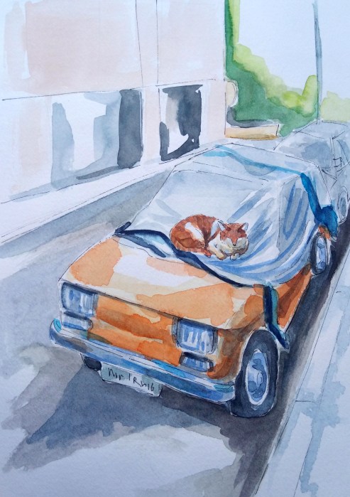 190405 Cat on car Athens Kypseli_Melanie Franz