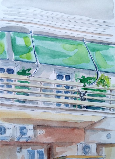 190502 Balcony dog Athens_Melanie Franz