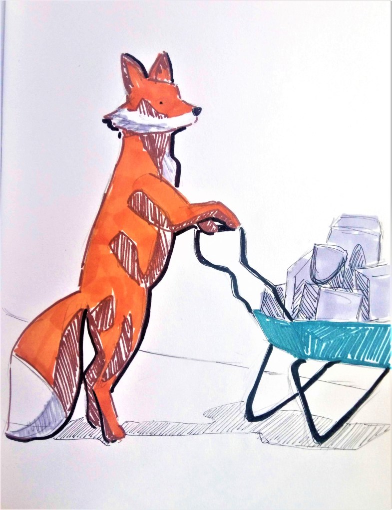 191120 Edinburgh Fox _Melanie Franz