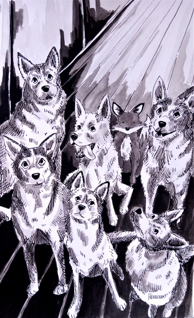 191006-husky_Melanie Franz