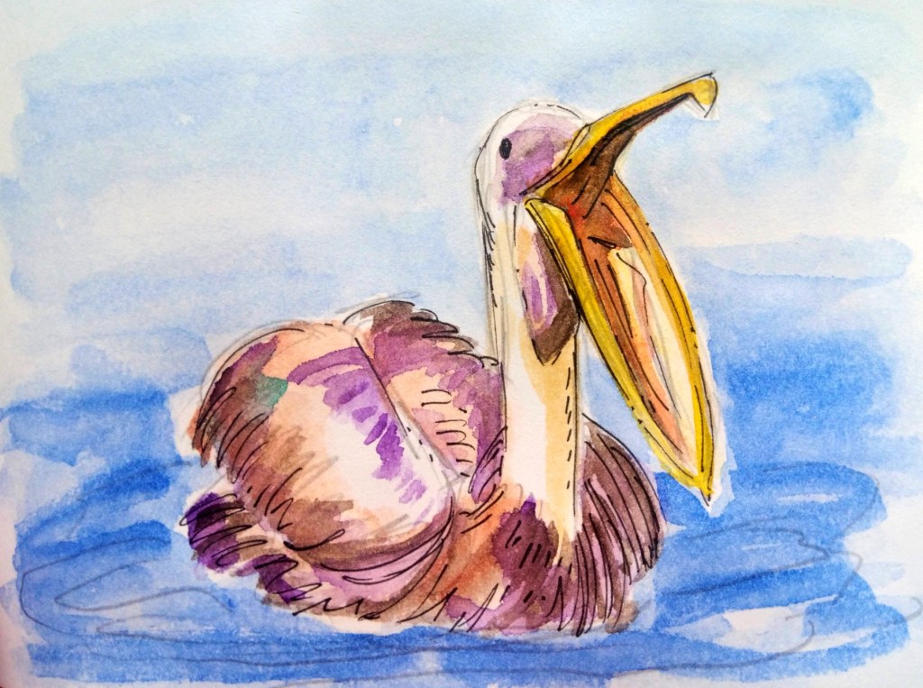 20_06 Pelican purple_Melanie Franz