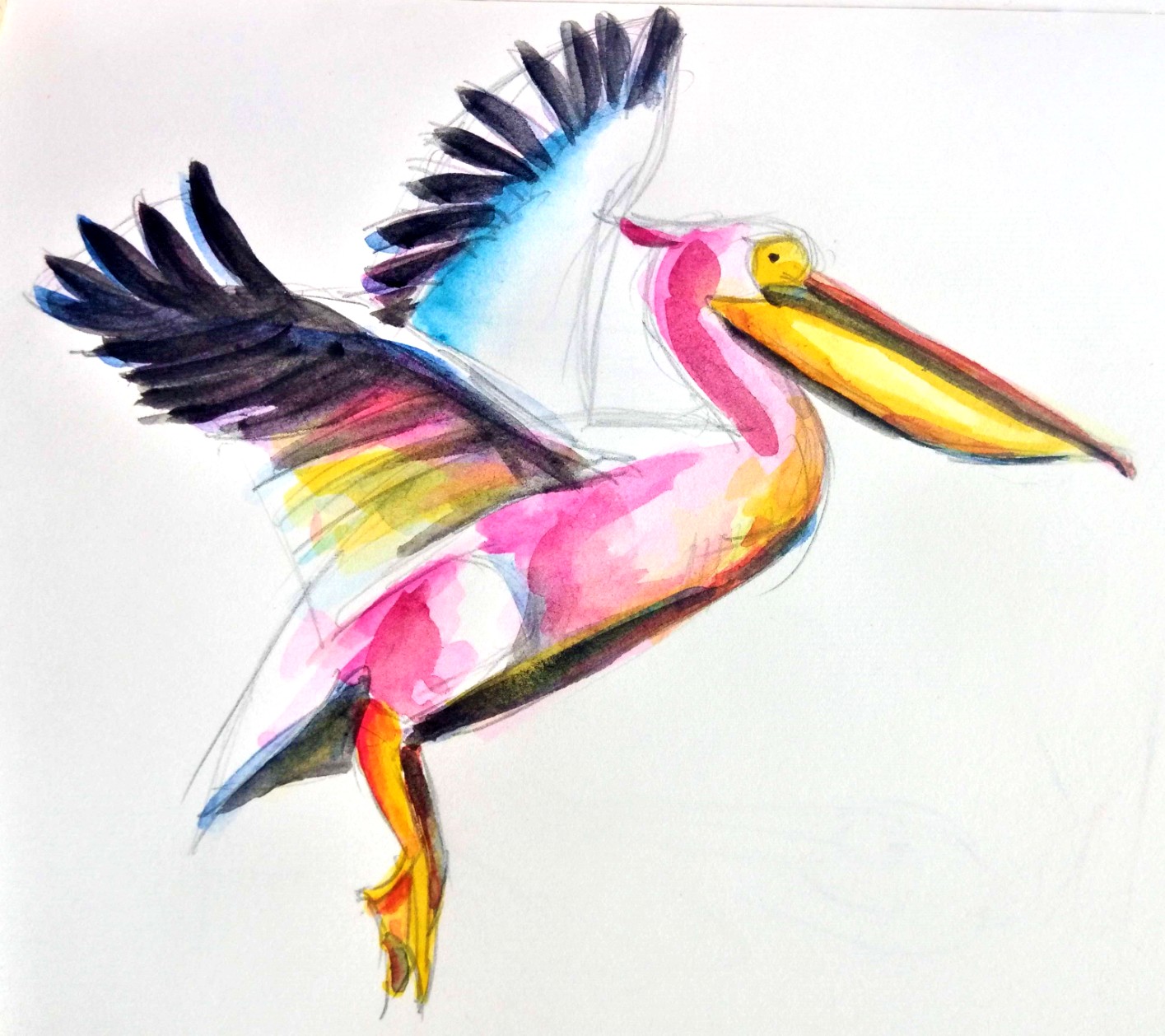 20_06-flight of the pelican_ Melanie Franz