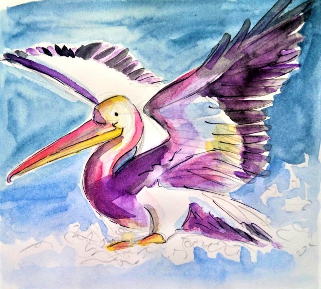 20_07 Pelican landing_Melanie Franz