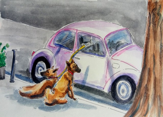 2009 CDMX_Dog car alarm_Melanie Franz