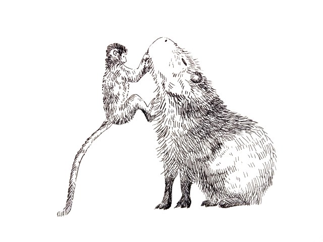 201025-inktober_buddy_Melanie Franz