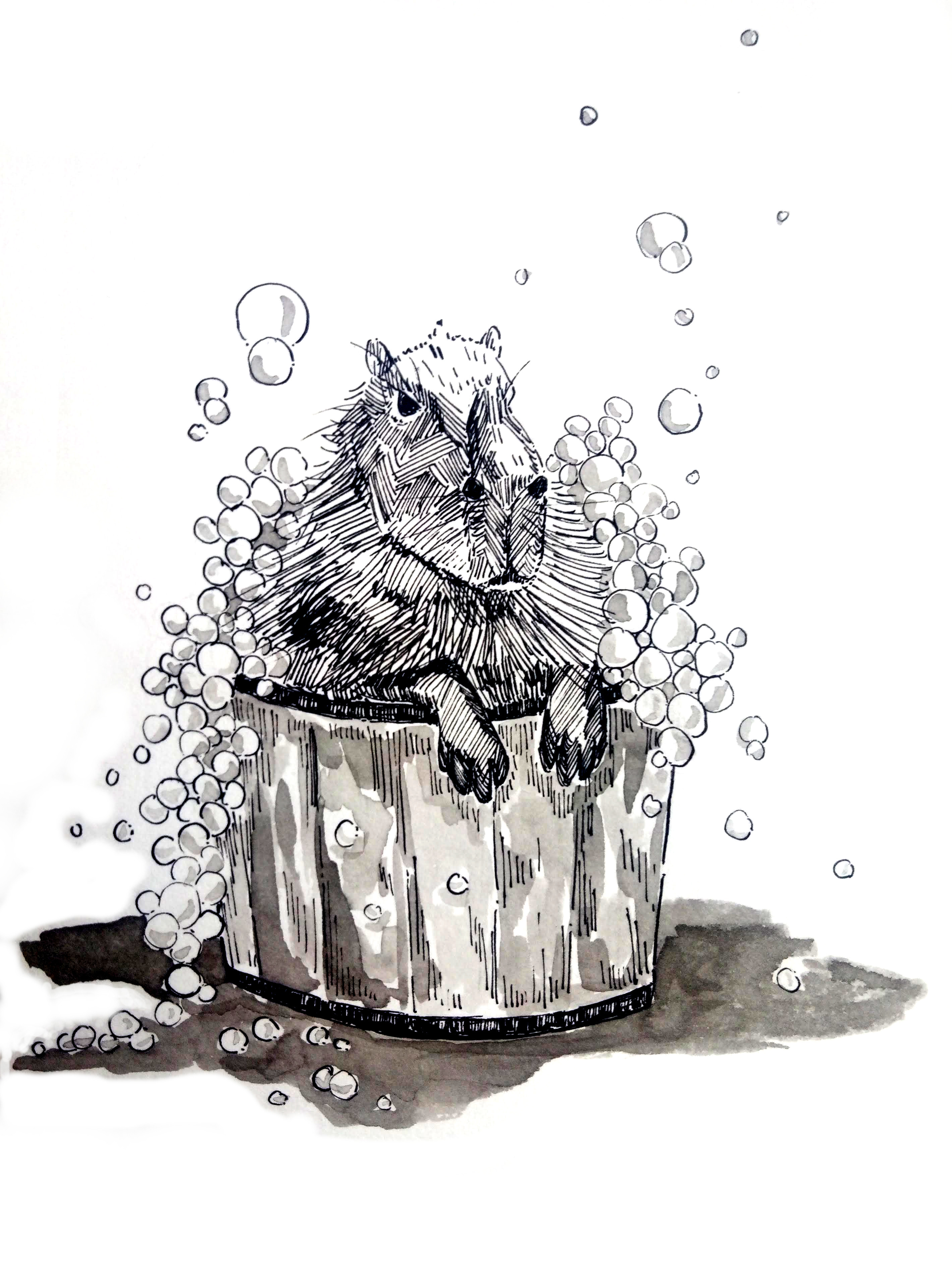 201008 Inktober_Fancy capybara _ Melanie Franz