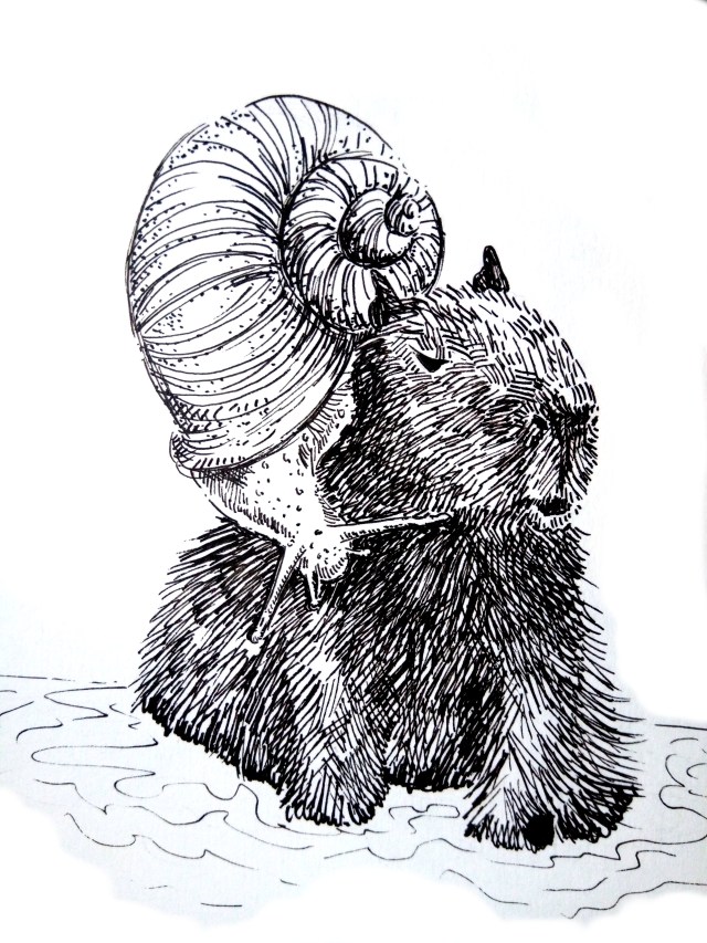 201031-inktober-crawl-Capybara -Melanie Franz