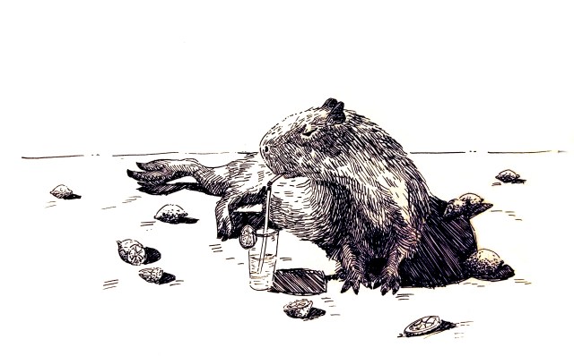 201220-inktober_capybara_lemonade_Melanie Franz