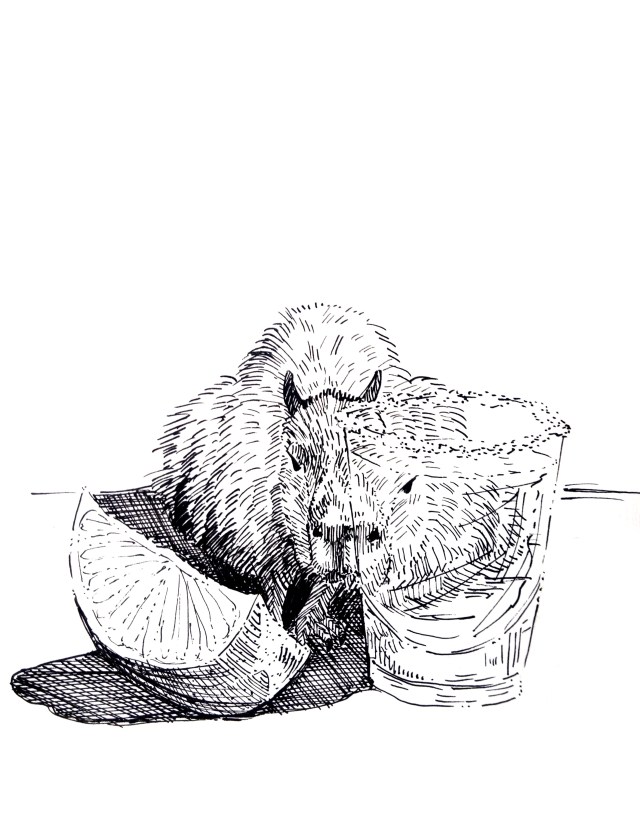 201226-capybara-ink-tequila_Melanie Franz