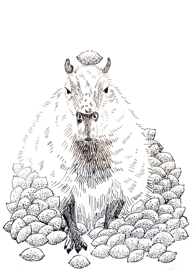 210106 Capybara Lemon pile_Melanie Franz