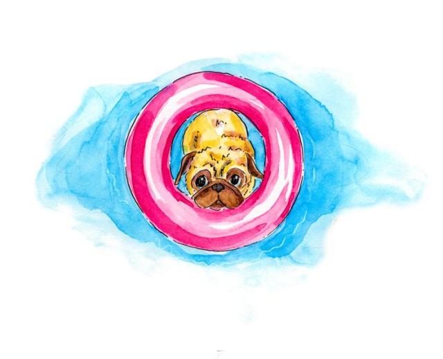 Pug pool_ Melanie Franz