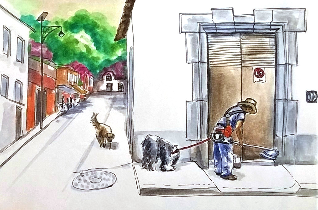 1805-malinalco-bobtail-gardener Melanie Franz