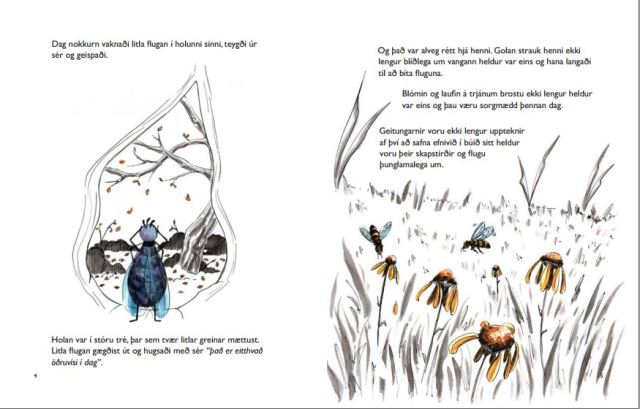 Children's Book_Fly Adventure_Melanie Franz