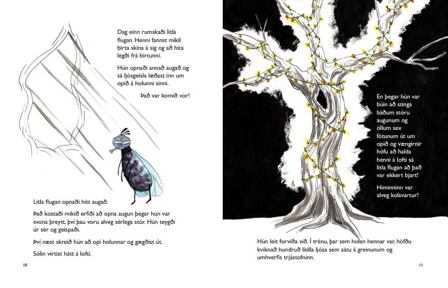 Children's Book_Fly Adventure_Melanie Franz