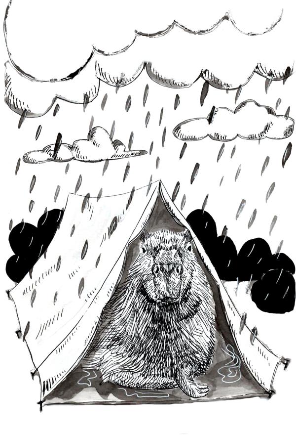 20 capybara camping_Melanie Franz