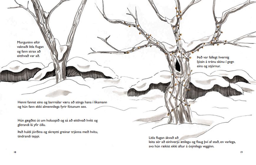 Children's Book_Fly Adventure_Melanie Franz