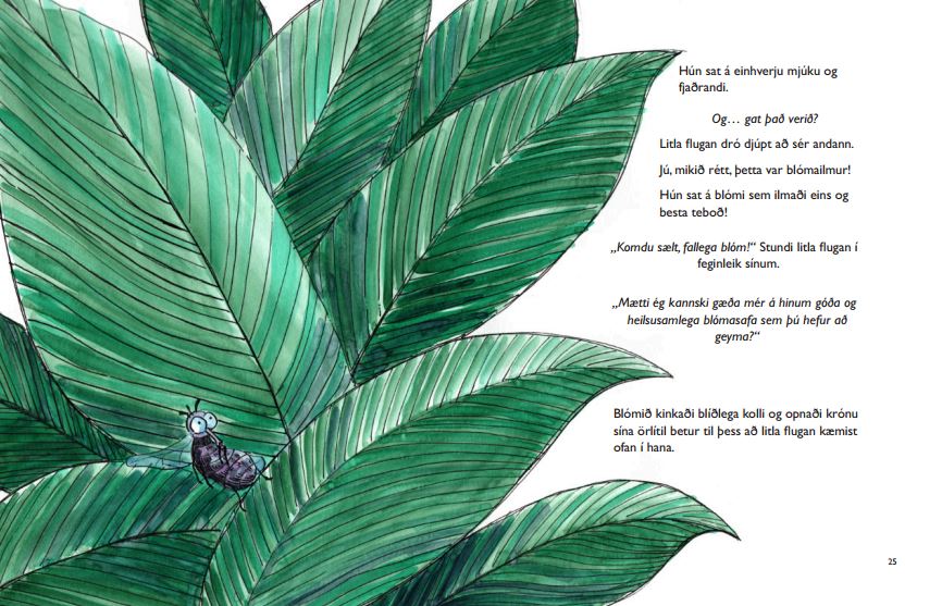 Children's Book_Fly Adventure_Melanie Franz