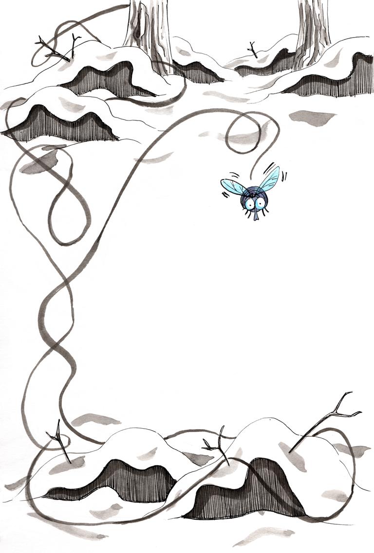 freezing fly snow_Melanie Franz