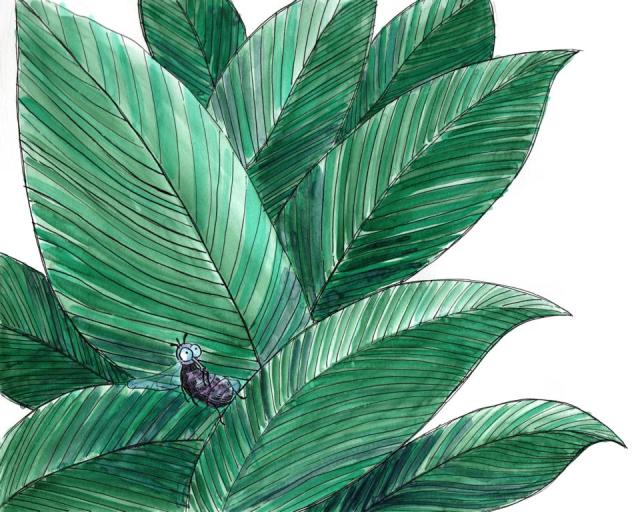 leaves flower fly_Melanie Franz