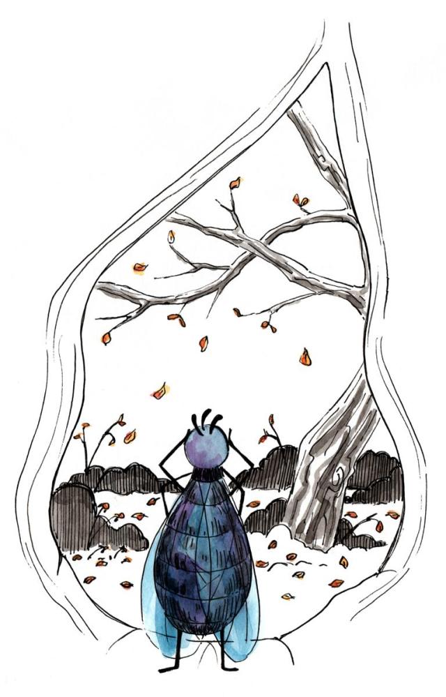 Fly in her tree_Melanie Franz