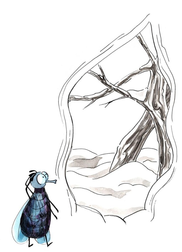Fly in tree_Melanie Franz