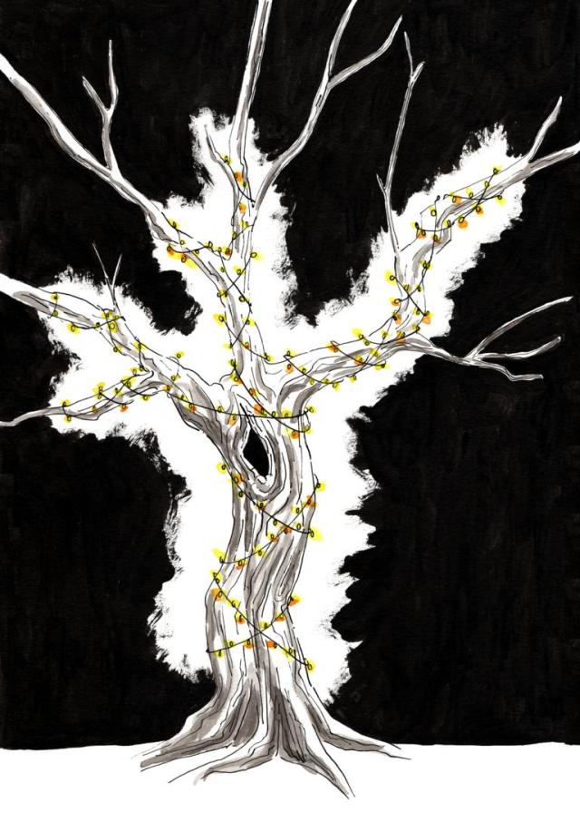 Tree Winter lights Iceland_Melanie Franz