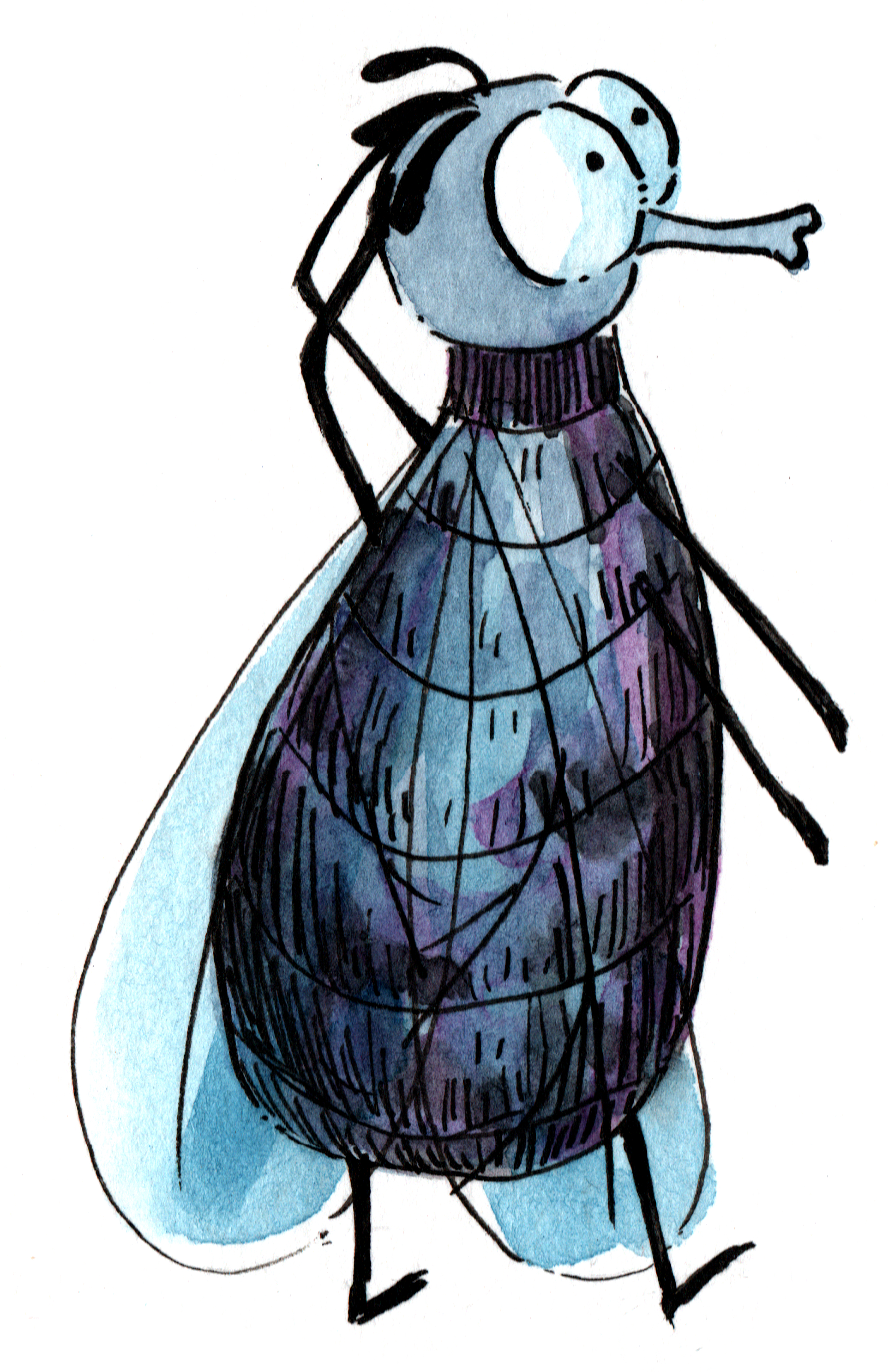 Fly wondering_ Melanie Franz