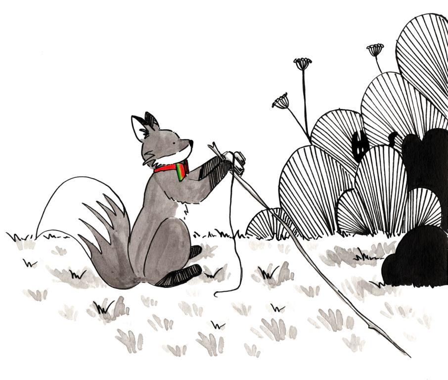 Mr Fox_Melanie Franz