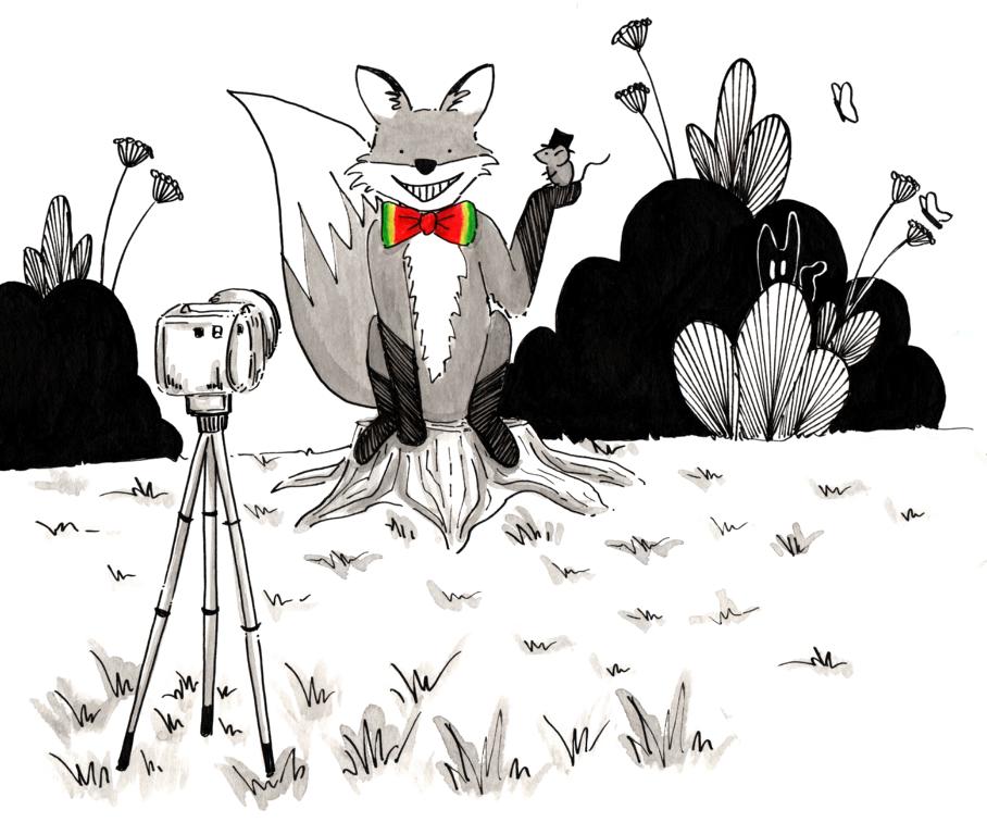 Photo Mr Fox_Melanie Franz