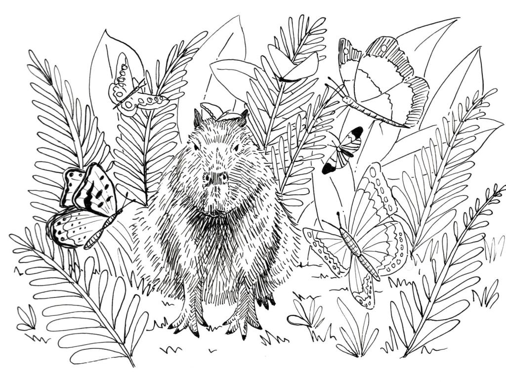 Flora and fauna capybara _Melanie Franz