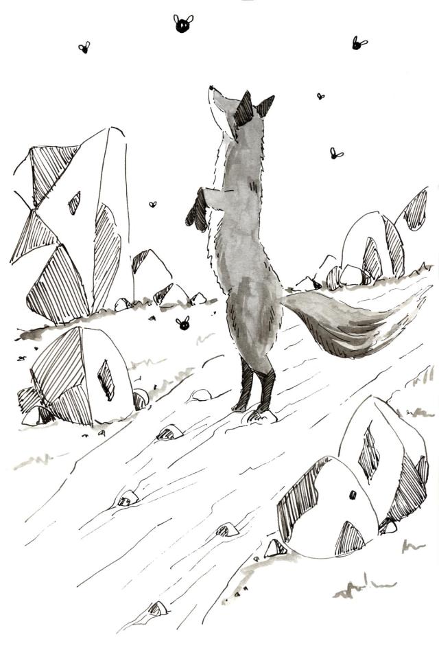 Fox fireflies _ Melanie Franz