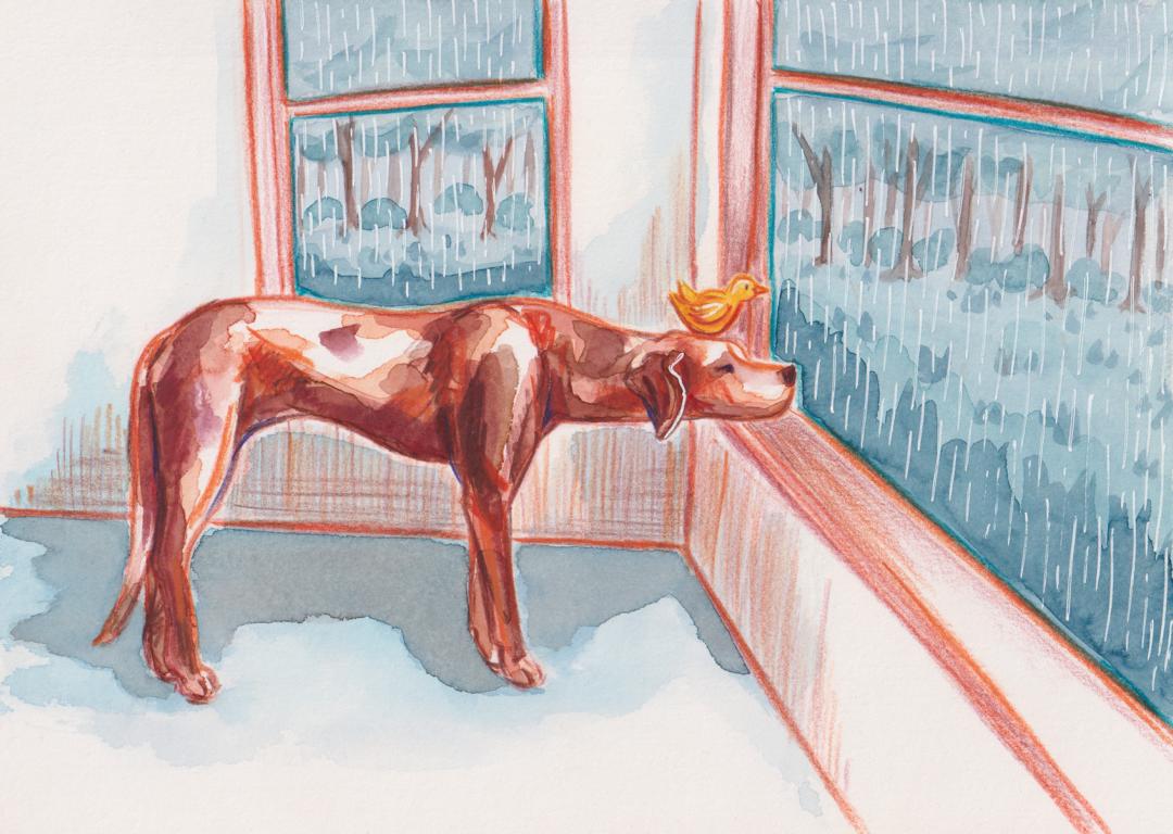 2203 great dane and duck_watercolour_Melanie Franz