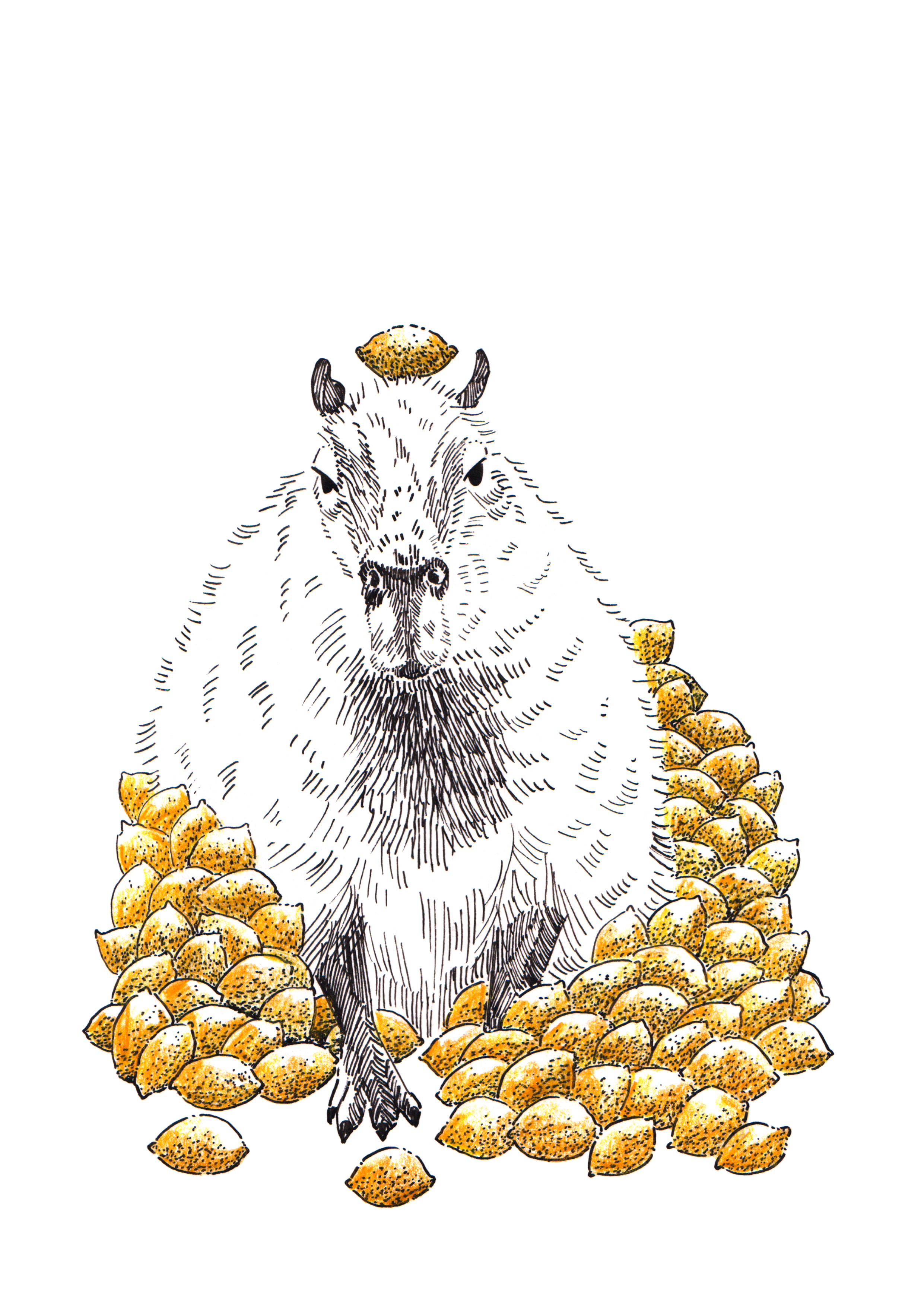 21 Capybara lemon poster_Melanie Franz