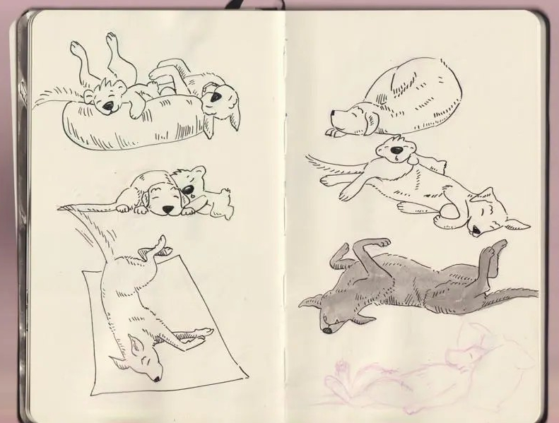 Character sketches labrador ink _Melanie Franz