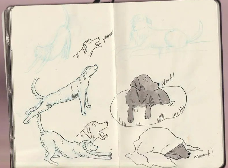 Character sketches Labrador ink _Melanie Franz